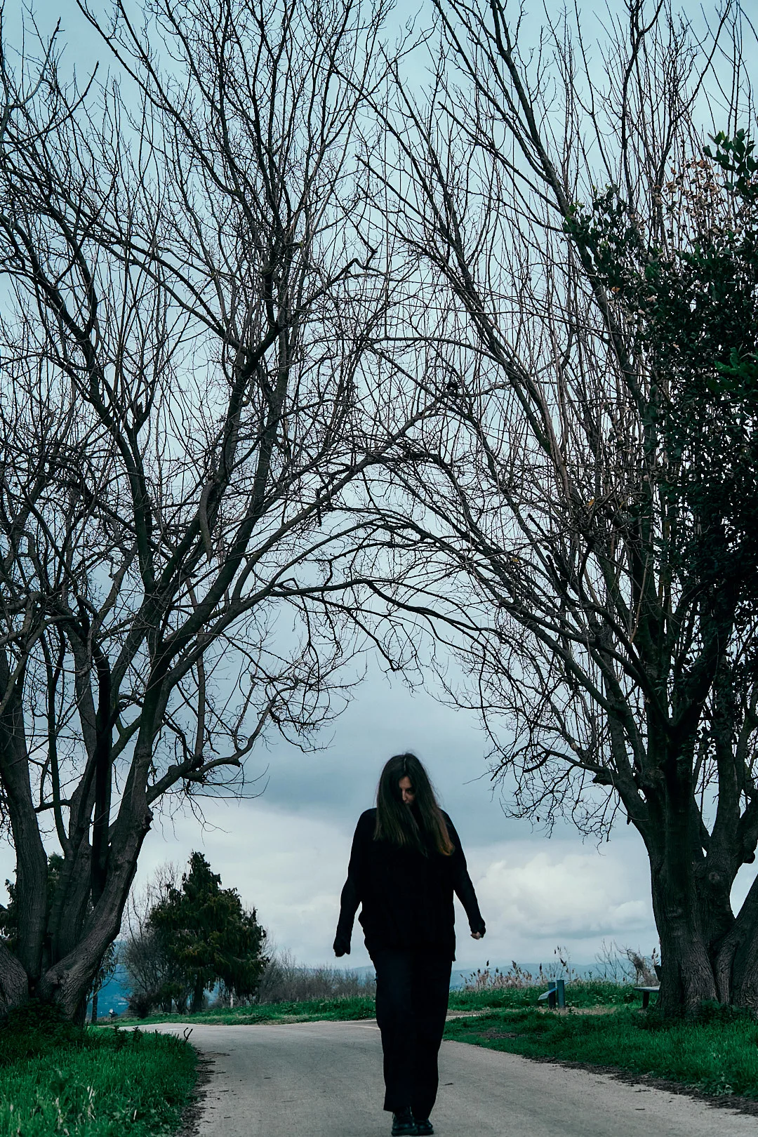 A person walking away along a path between bare trees.