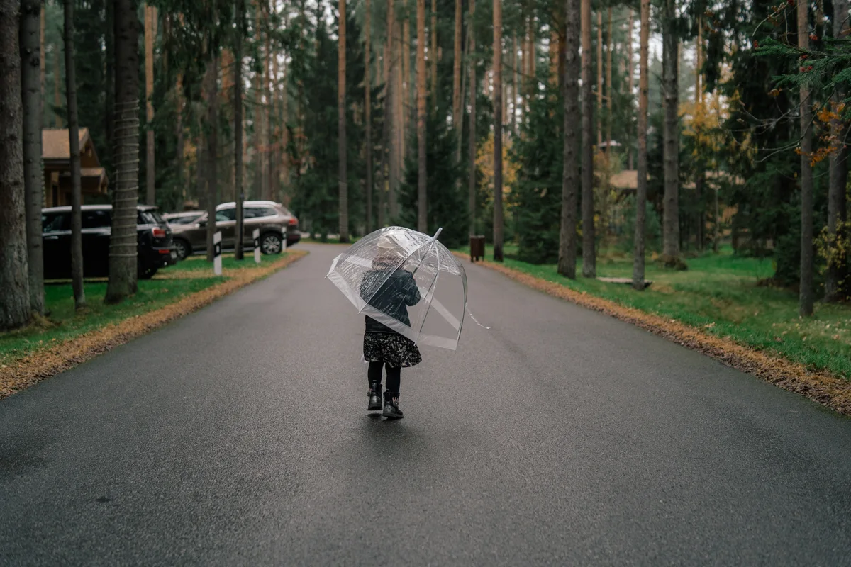 A child carrying a clear umbrella on a road through tall trees.